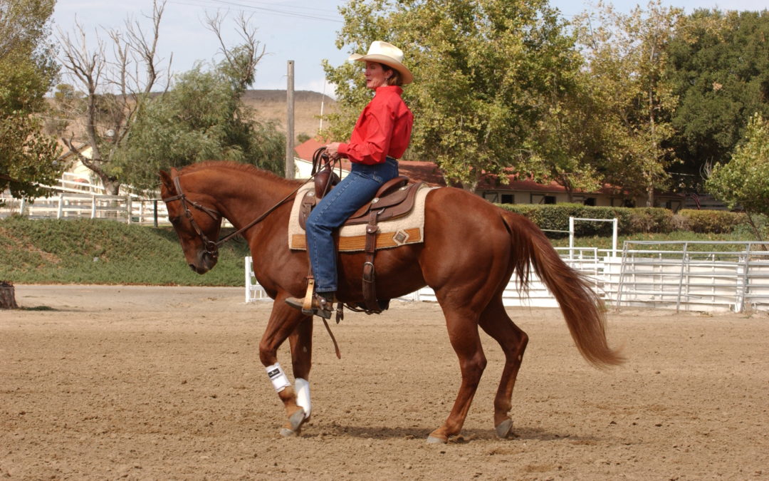 Troubleshooting Softening the Face – Reining Essential #1, part 2