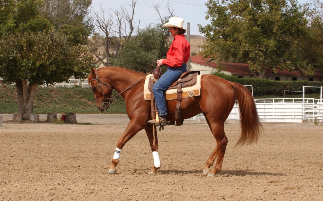 Reining Essential 4 – More Advanced Backing