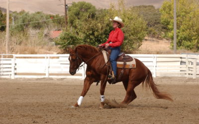 Reining Essential 5 – Whoa