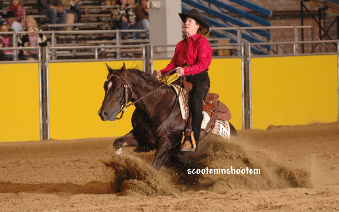 Reining Essential 5 – Troubleshooting Whoa