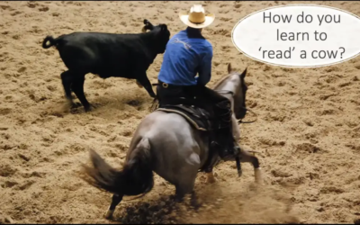How do you learn to read a cow?