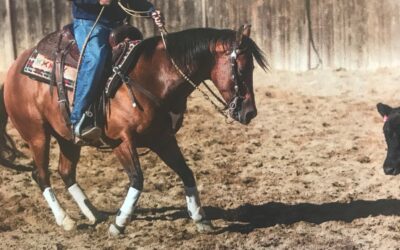 How to Hold and Adjust Romal Reins