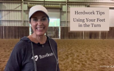 Herdwork Tips – Using Your Feet in the Turn