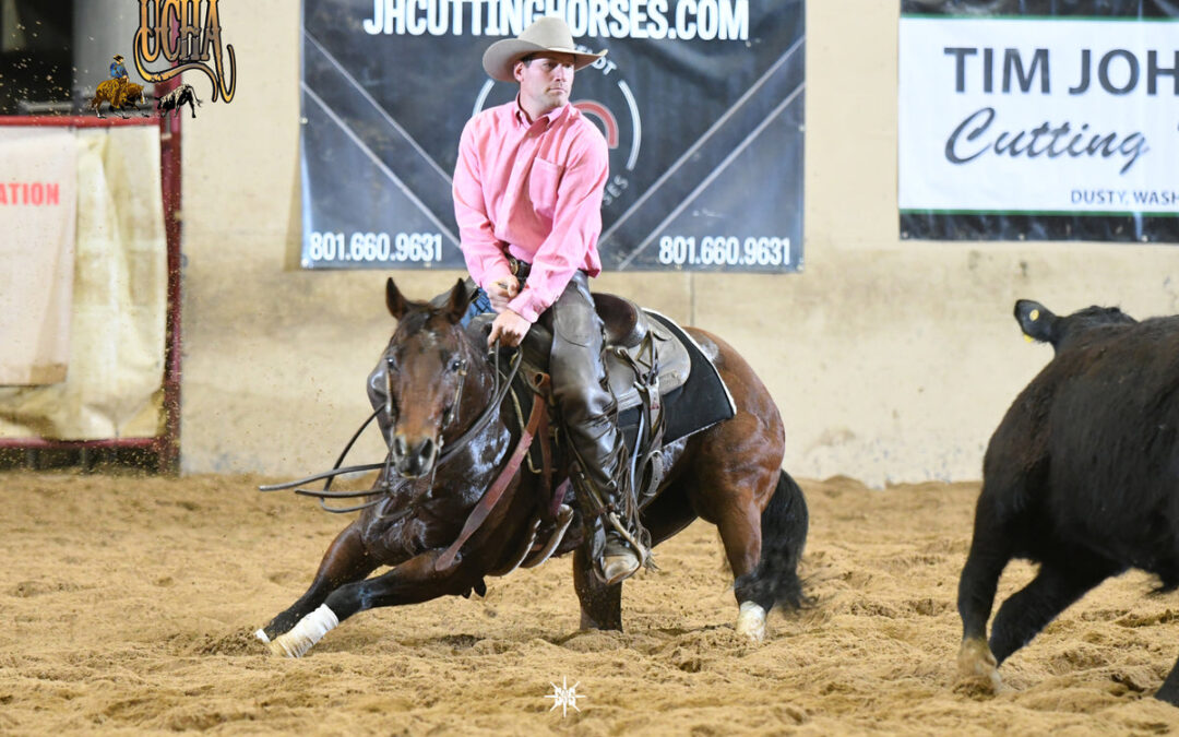 NCHA Rein Adjusting Rules