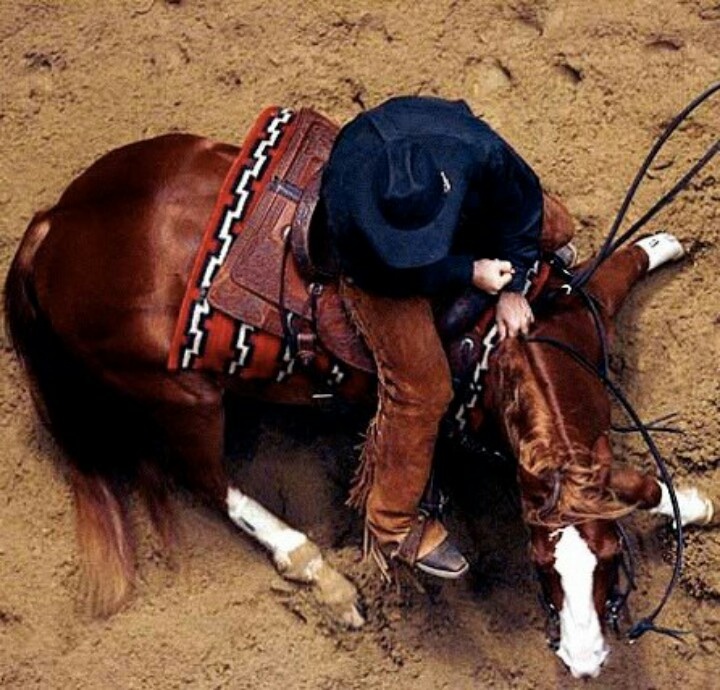 holding reins cutting from above