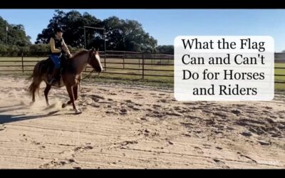 What the Flag Can and Can’t Do for Horses and Riders