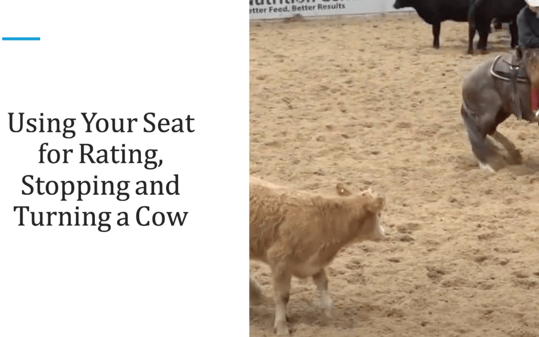 Using Your Seat for Rating, Stopping, and Turning