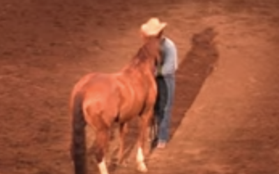You Don’t Control the Horse, You Control YOU!