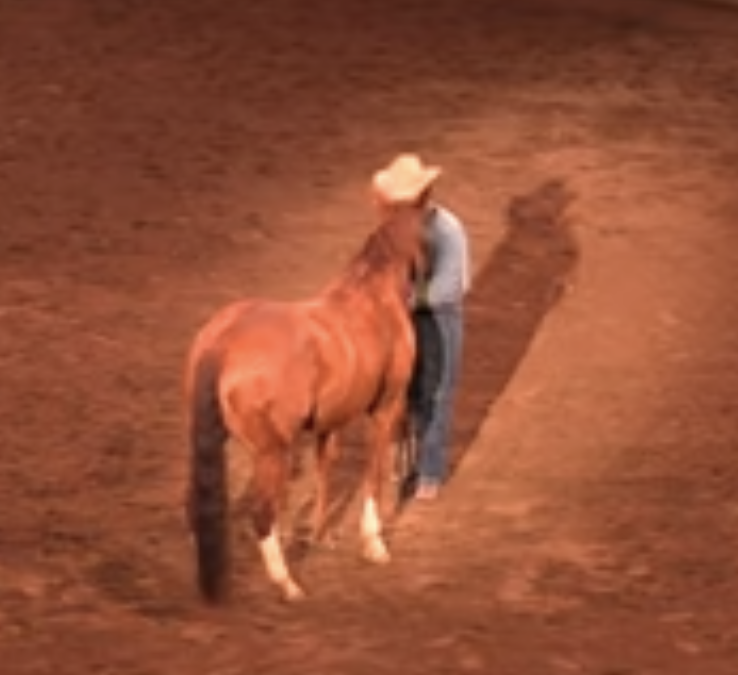 You Don’t Control the Horse, You Control YOU!