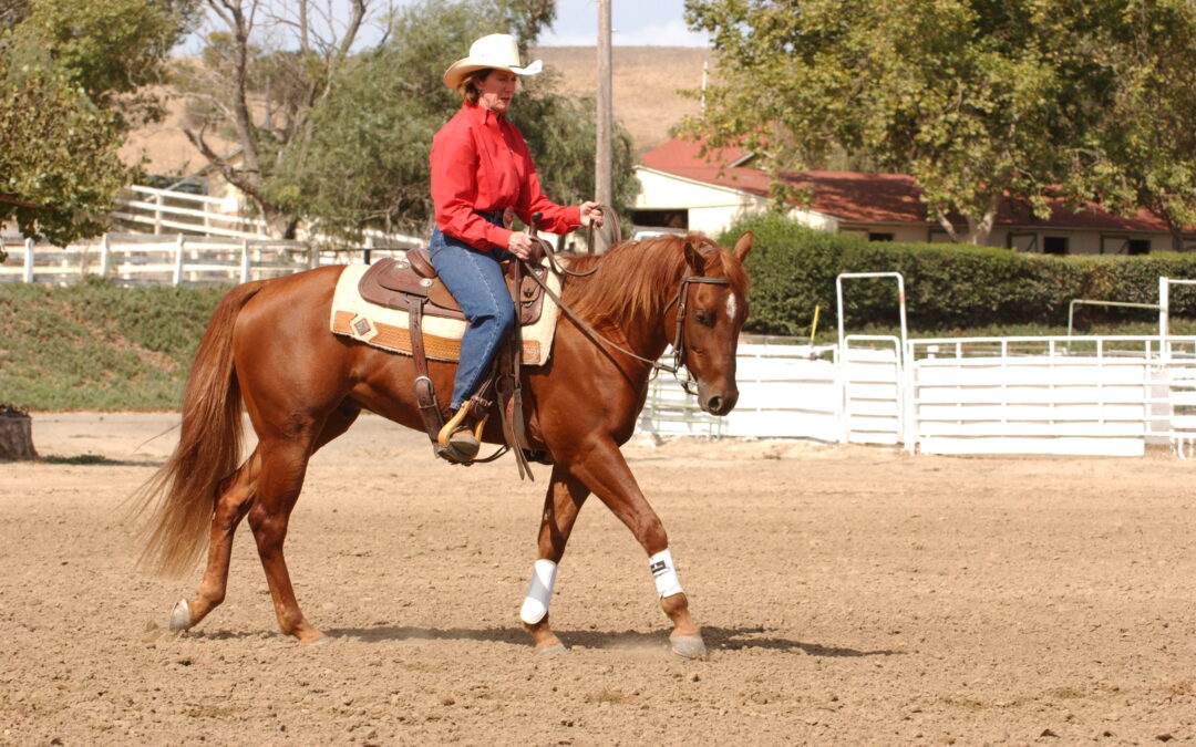 Getting and Keeping Your Horse Soft