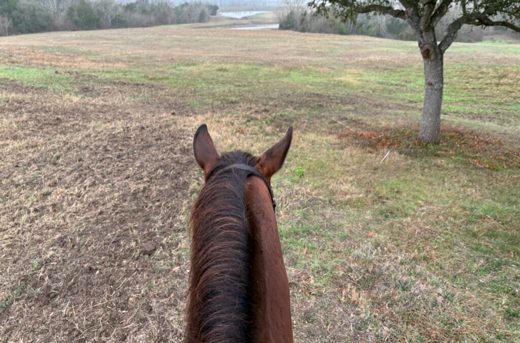 New Year, New Ride, Fresh Start