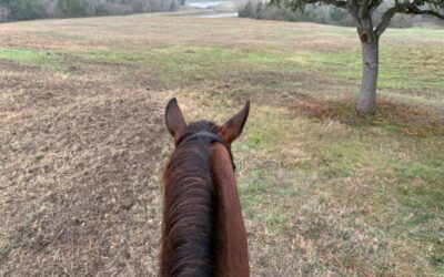 New Year, New Ride, Fresh Start